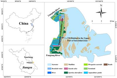 Wise use of coastal wetlands: 10-year reclamation vs. 3-year eco-governance in the Tiaozini Wetland, Jiangsu, China